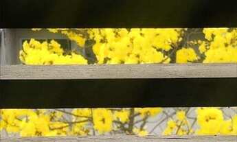 Imagem 5: Grannja Viana! 3 suítes escritório, oportunidade!