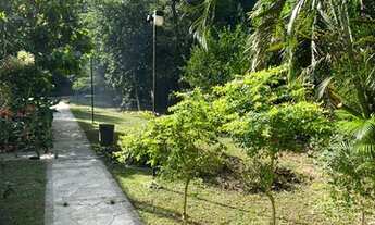 Imagem 2: Terreno Comercial Aluguel