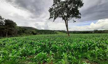 Imagem: Senador Canêdo - Fazenda - Área Rural