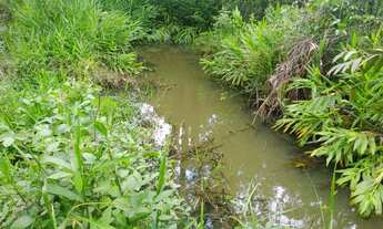 Imagem: Chacara no varjão com agua no meio da terra