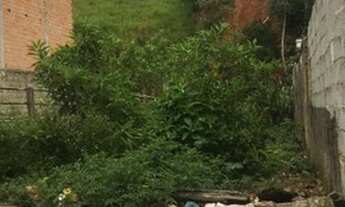 Imagem: Lote para venda