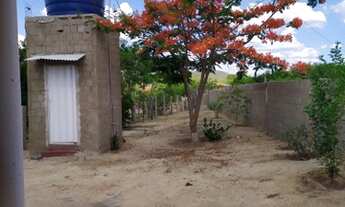 Imagem 5: Vende-se Casa em Salgueiro