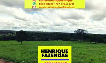 Imagem: Fazenda Miracema 425,92 hectares
