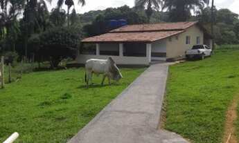 Imagem 5: Terezópolis de Goiás - Chácara