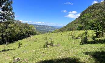 Imagem 4: Sítio/chácara/terreno - 7 hectares - Alfredo Wagner