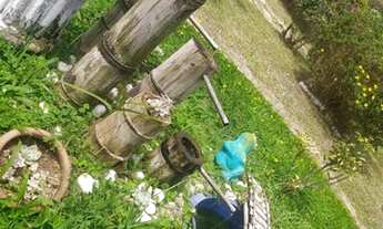 Imagem 7: NOGUEIRA - Apartamento em um lugar agradável