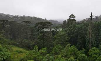 Imagem 5: Belo Terreno com Vista à Venda na Região do Atalaia - Campos do Jordão/SP