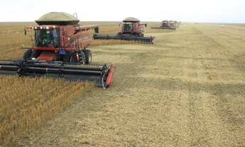 Imagem 3: Fazenda a venda tem 413 metros quadrados em Lima Azevedo - Londrina - PR