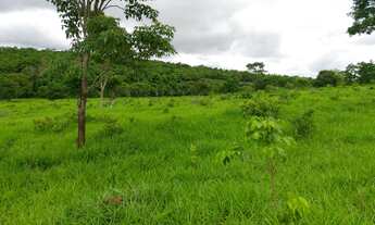 Imagem 2: Chácara em mairipotaba a 80 km de Goiânia com corrego energia chacaras 20.000 metros