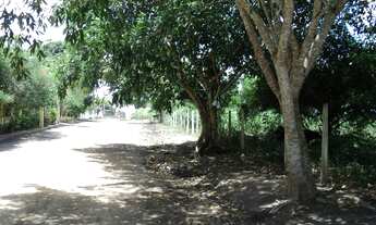 Imagem 3: Terreno com 1 Hectare ao lado da Exposição de Animais de Carpina