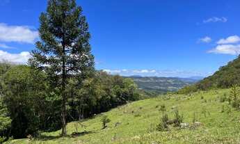Imagem 3: Sítio/chácara/terreno - 7 hectares - Alfredo Wagner