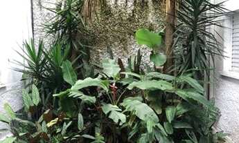 Imagem 6: CASA ASSOBRADADA - POMPÉIA - SP