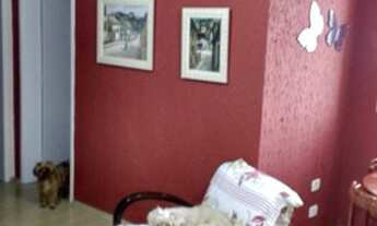 Imagem 4: Apartamento - Pq. da Mooca