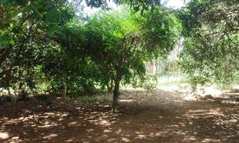 Imagem 5: Fazenda a venda de 6 Alqueires no Município de Piracanjuba