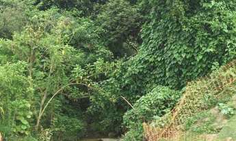 Imagem 7: Jacarei - Terreno Padrão - Jardim Santa Maria