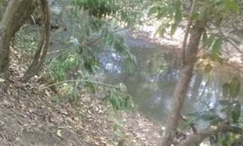 Imagem 6: Chácara Senador Canedo rio Sozinha