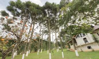 Imagem 5: Chácara à venda, 11.500 m² com casa de alvenaria mobiliada de 550m² - Estados - Fazenda Ri