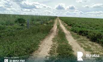 Imagem 7: Fazenda para integração lavoura pecuária no Tocantins