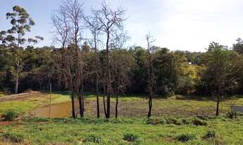 Imagem 2: Terreno para Chácara- entrada facilitada!