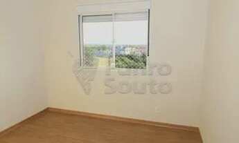 Imagem 7: Apartamento Padrão em Pelotas
