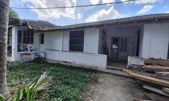 Imagem: TAQUARA ALUGO ALPAO PA FINS DE DEPOSIT OU