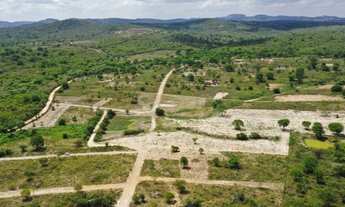 Imagem 4: Lotes perfeitos para seu tão sonhado Sítio e Chácara