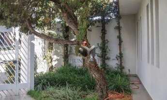 Imagem 2: Casa com 4 dormitórios para alugar, 373 m² por R$ 4.990,00/mês - Jardim Sumaré - Ribeirão