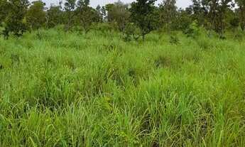 Imagem 2: Vendo posse 12 alqueires