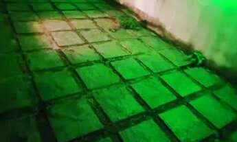 Imagem 5: Casarão Mirante da Lagoa c/ 4qts, sendo 2suítes, 4brs, 3vgs, amrs plnjds, closet, quintal