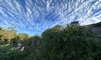 Imagem 6: Terreno - Bairro Vila Dante