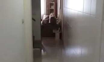 Imagem 4: São Paulo - Casa Padrão - Tucuruvi