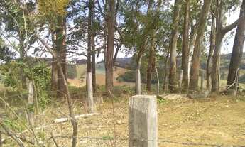 Imagem 3: Troco terreno Terreno / lote com venda por R$35.000