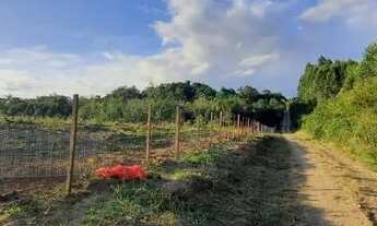 Imagem 2: Sítio com casa rústica nova, 41.100 M² com açude