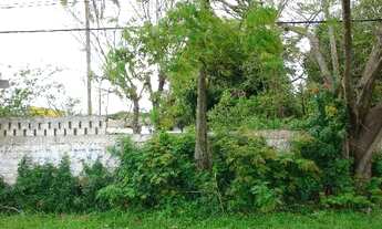 Imagem 4: Terreno para Venda - 0m², 0 dormitórios, Belém Novo