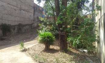 Imagem 7: Casa - Parque São Quirino - Campinas