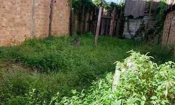 Imagem: Vendo esse terreno na Tv. Soledade