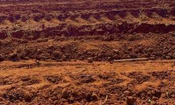 Imagem: Sítio 100 Organizado