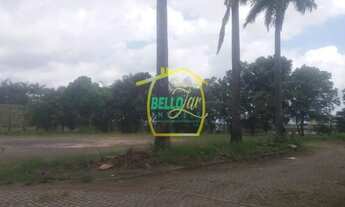 Imagem 4: Vendo terreno 12.000m2 plano no curado