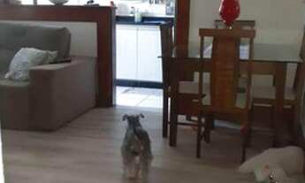 Imagem 4: Apartamento à Venda - Pechincha, 2 Quartos, 60 m2