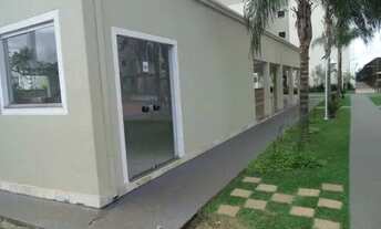 Imagem 6: Locação de Apartamentos / Padrão na cidade de Araraquara