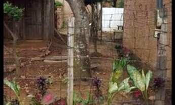 Imagem 2: Vendas terreno Terreno / lote com venda por R$35.000