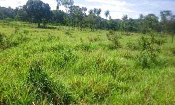 Imagem 6: Chácara 1.800m² 100% plana, toda terra de plantio, Jaboticatubas (Temos varias opções)