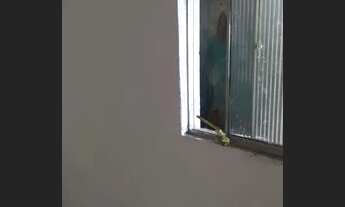 Imagem 4: Alugo Casa 1º Andar e Terreo