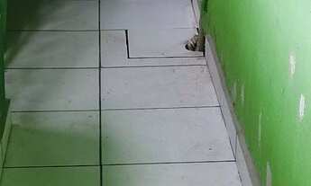 Imagem 2: Casa para alugar no Baronesa, Santa Luzia