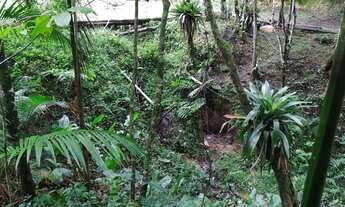 Imagem 5: Super oportunidade terreno 57 mil reais