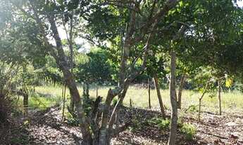 Imagem: 3 lotes e meio (1.050 m2) em Guriri, bairro