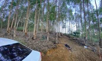Imagem 6: 2 hectares com vista para a Pedra Azul