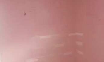 Imagem 3: Alugo Kit Net na Marambaia