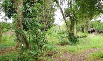 Imagem 5: Terreno para Venda - 0m², 0 dormitórios, Belém Novo