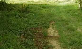 Imagem 2: Area para Venda - 0m², 0 dormitórios, Itapuã